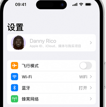 罗庄appleID维修服务iPhone设置中Apple ID显示为灰色无法使用 