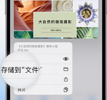 罗庄apple维修中心分享iPhone文件应用中存储和找到下载文件