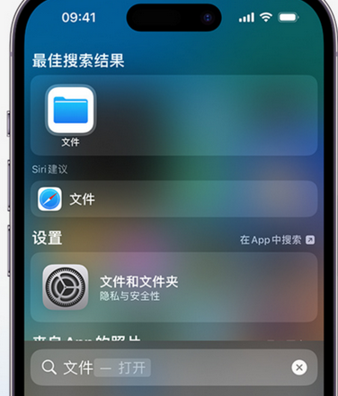 罗庄apple维修中心分享iPhone文件应用中存储和找到下载文件