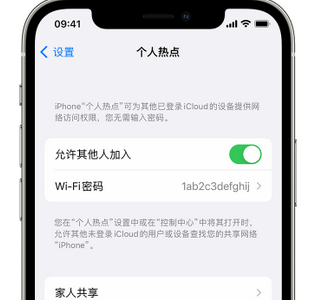 罗庄apple服务站点分享iPhone上个人热点丢失了怎么办 