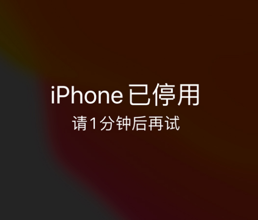 罗庄苹果手机维修分享:iPhone 显示“不可用”或“已停用”怎么办？还能保留数据吗？ 