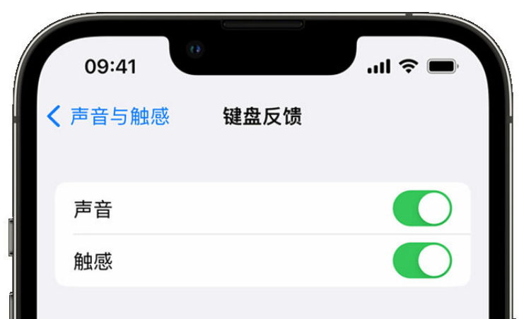 罗庄苹果手机维修分享iPhone 14触感键盘使用方法 