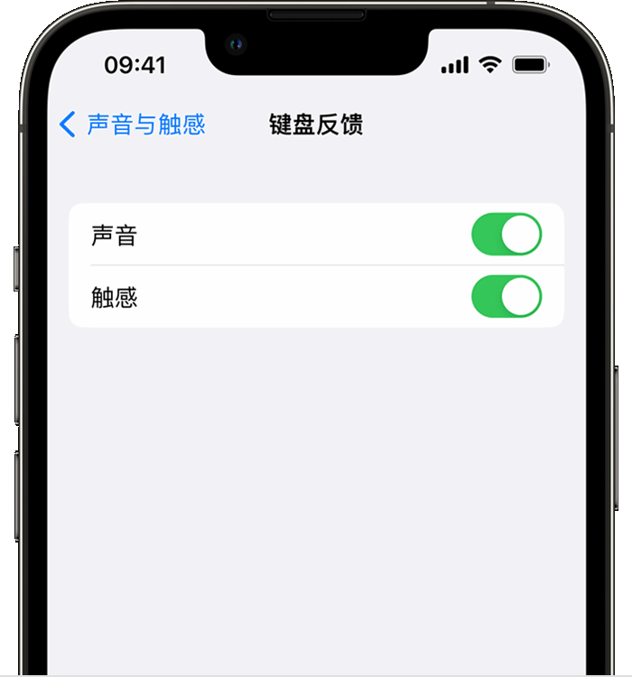 罗庄苹果14维修店分享如何在 iPhone 14 机型中使用触感键盘 