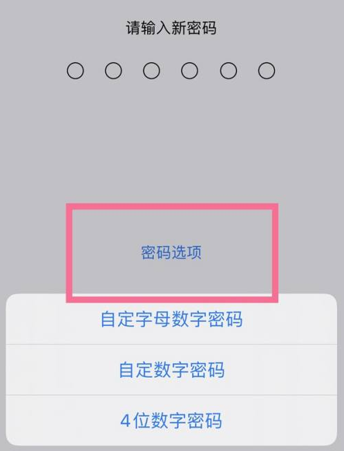 罗庄苹果14维修分享iPhone 14plus设置密码的方法 