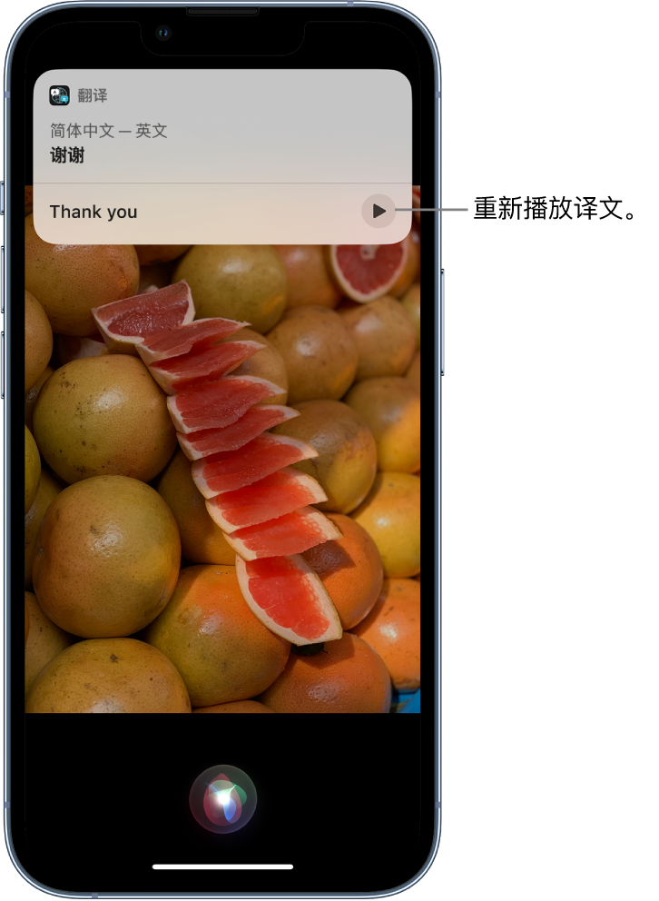 罗庄苹果14维修分享 iPhone 14 机型中使用 Siri：了解 Siri 能帮你做什么 