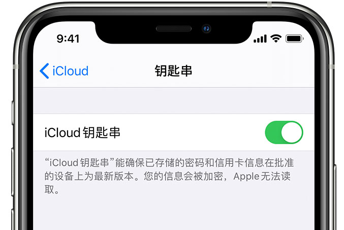 罗庄苹果手机维修分享在 iPhone 上开启 iCloud 钥匙串之后会储存哪些信息 