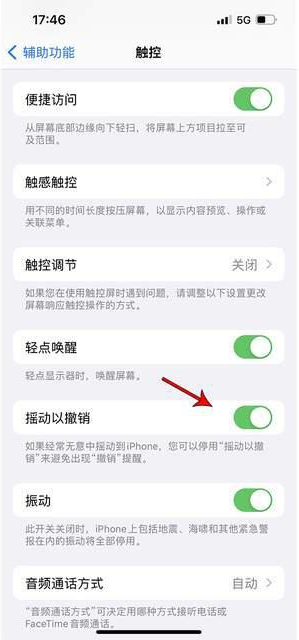 罗庄苹果手机维修分享iPhone手机如何设置摇一摇删除文字 