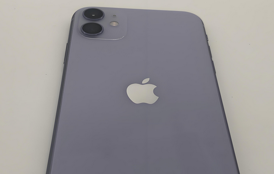 罗庄苹果11系统维修分享iPhone11手机系统崩溃无法开机如何解决 