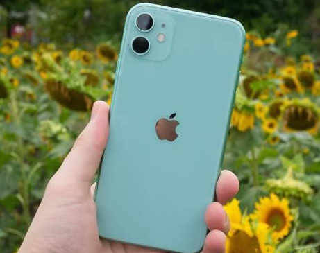 罗庄苹果维修点分享iPhone 11锁屏密码认知与使用科普 
